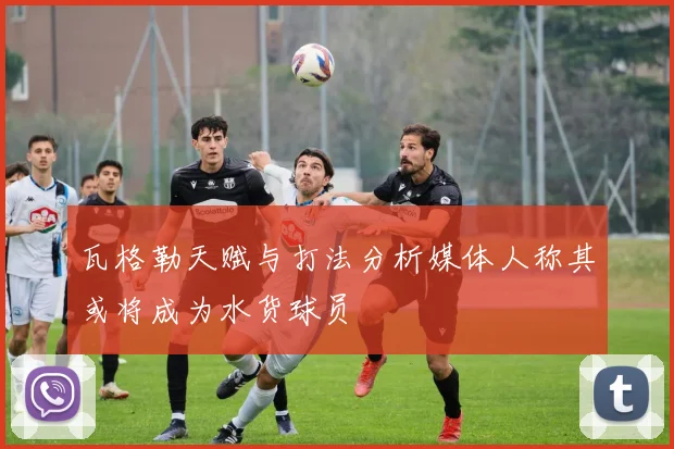 瓦格勒天赋与打法分析媒体人称其或将成为水货球员