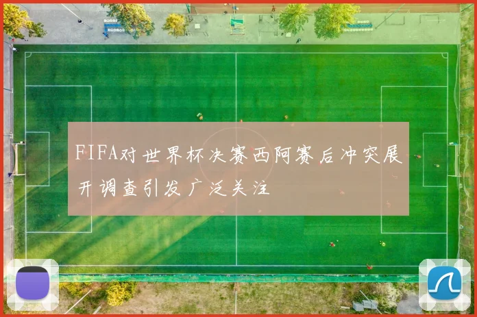 FIFA对世界杯决赛西阿赛后冲突展开调查引发广泛关注
