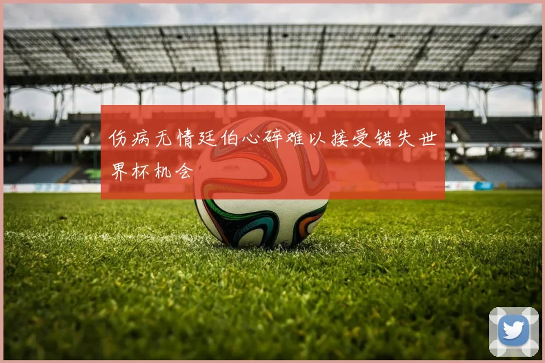 伤病无情廷伯心碎难以接受错失世界杯机会