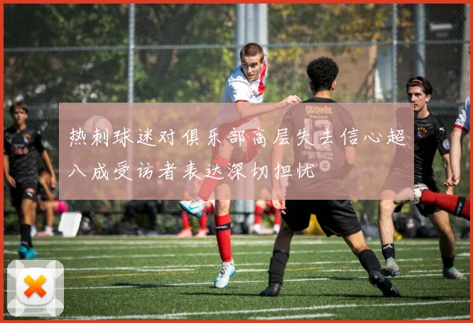 热刺球迷对俱乐部高层失去信心超八成受访者表达深切担忧